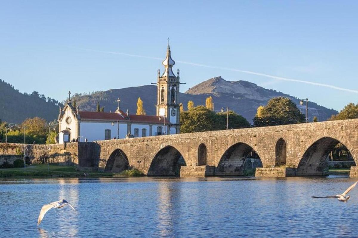 Un puente sobre un río con pájaros en el agua.