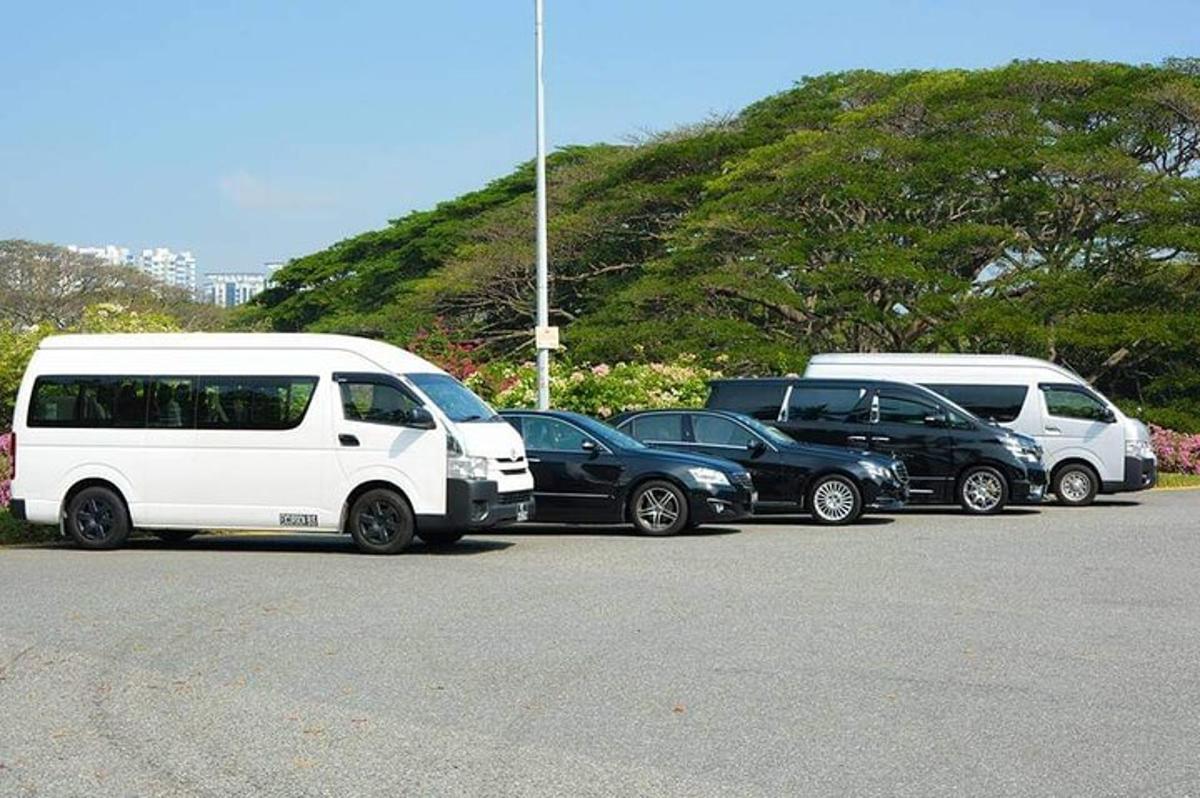 parklas pargitud autode grupp