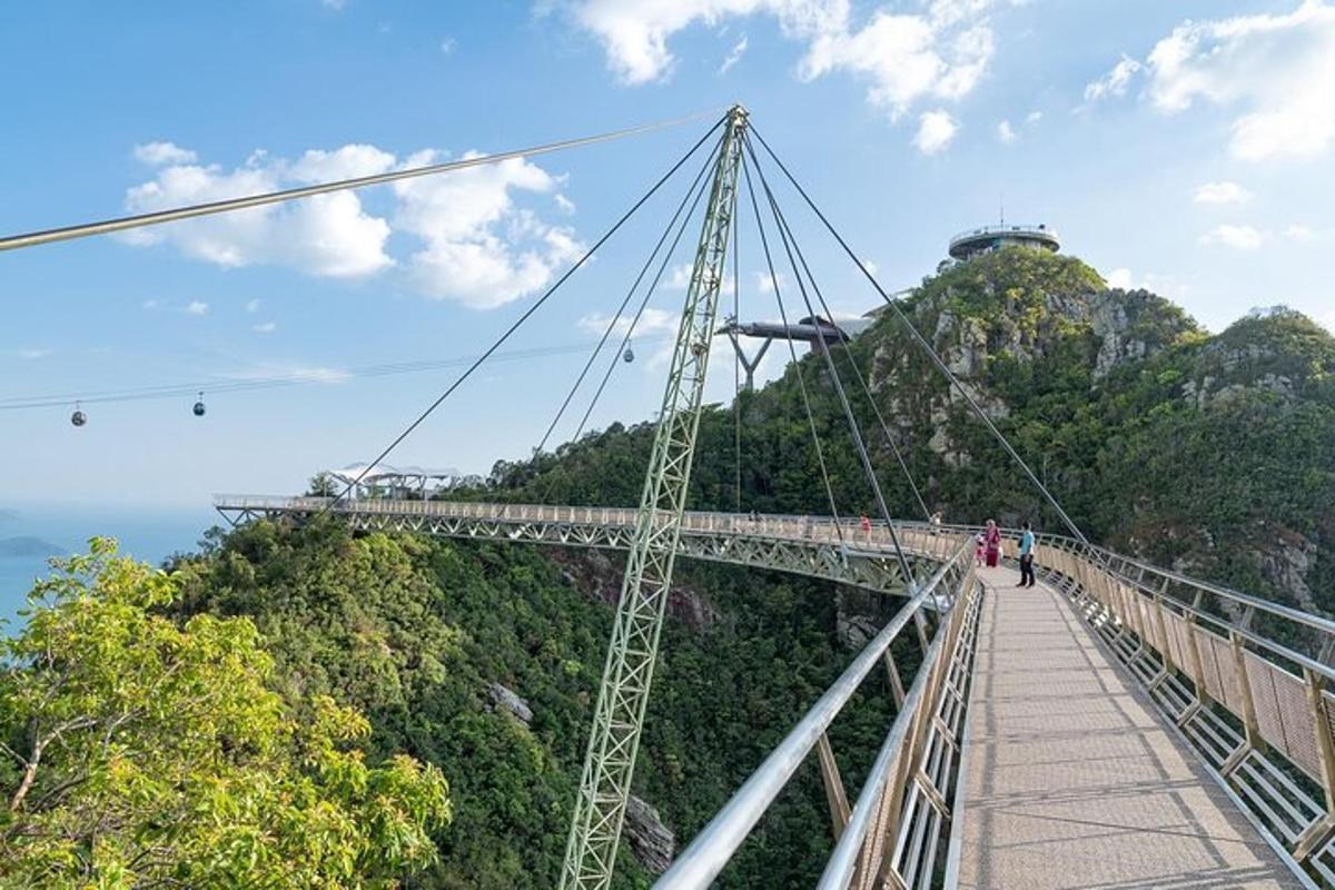 un pont penjant sobre l'oceà en una muntanya