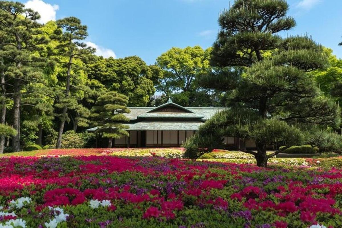 um jardim com flores rosas em frente a um prédio