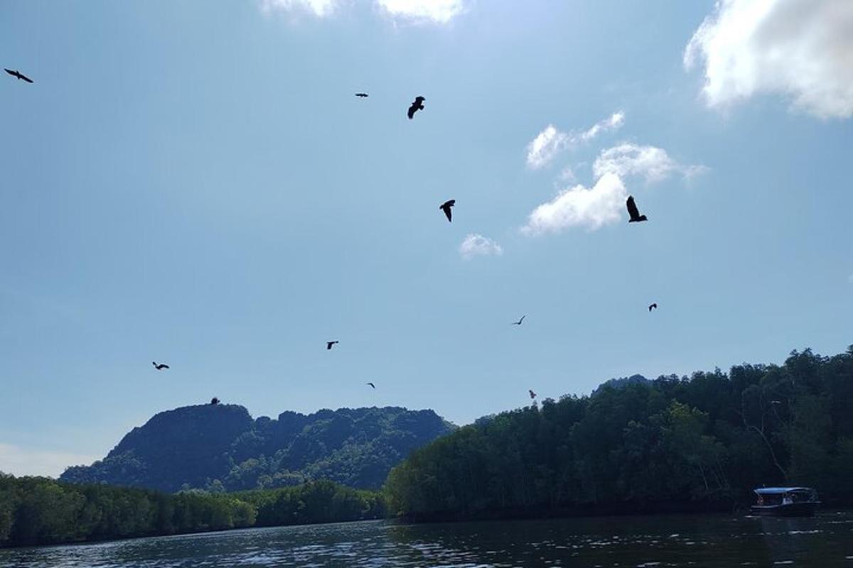 hópur fugla sem fljúga yfir vatn