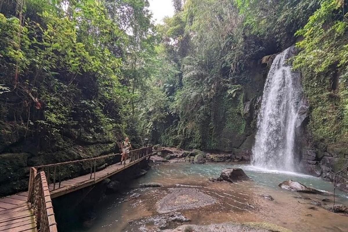 a person standing on a bridge over a waterfall
