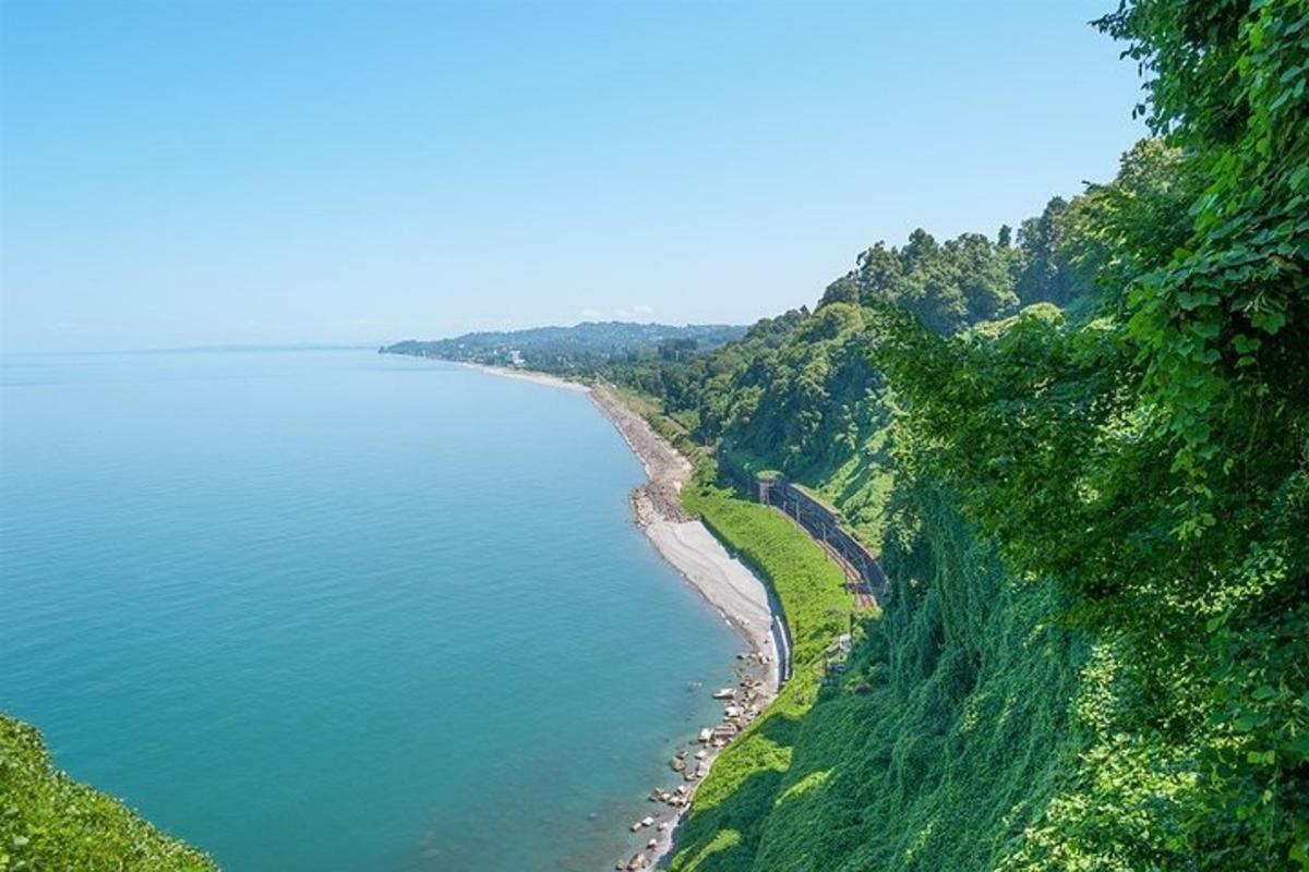 pemandangan dari udara pantai sebuah badan air
