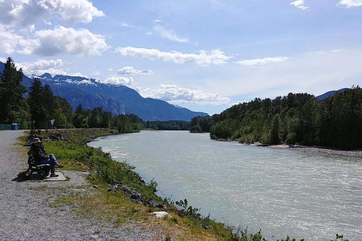 una persona seduta su una sedia a rotelle accanto a un fiume
