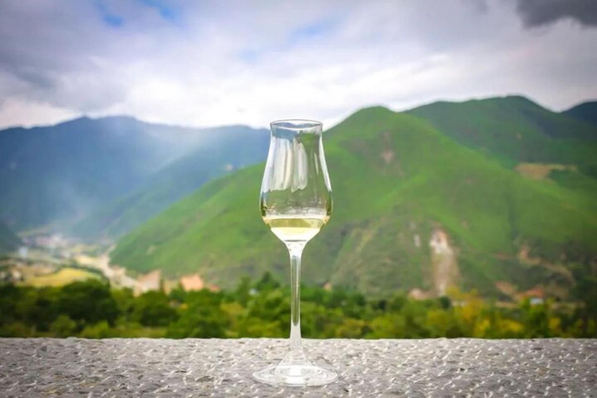 a glass of white wine sitting on top of a table