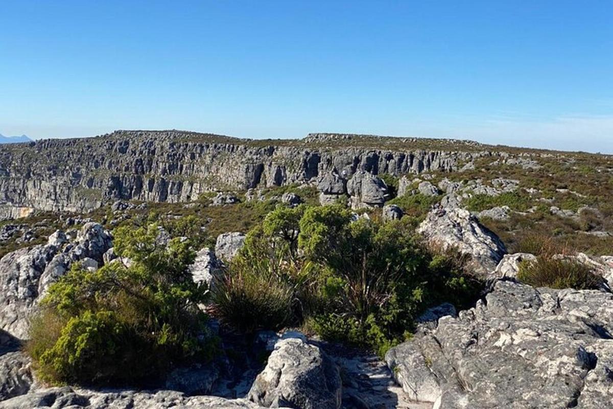 een uitzicht op een berg met rotsen en struiken