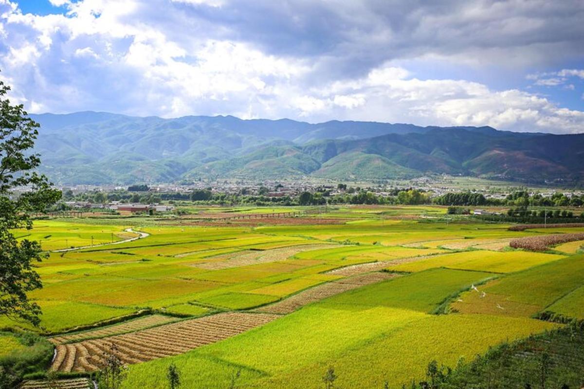 a large green field with mountains in the background