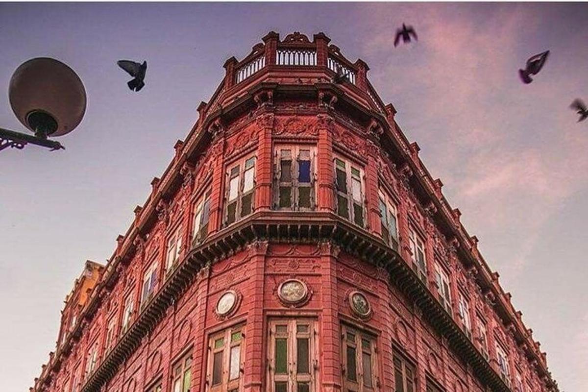 a group of birds flying around a building