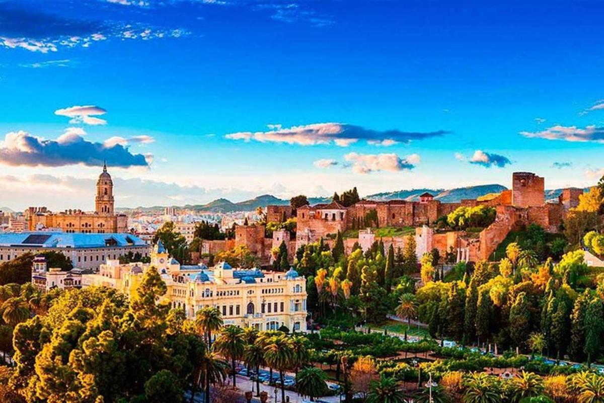 a view of a city with trees and buildings