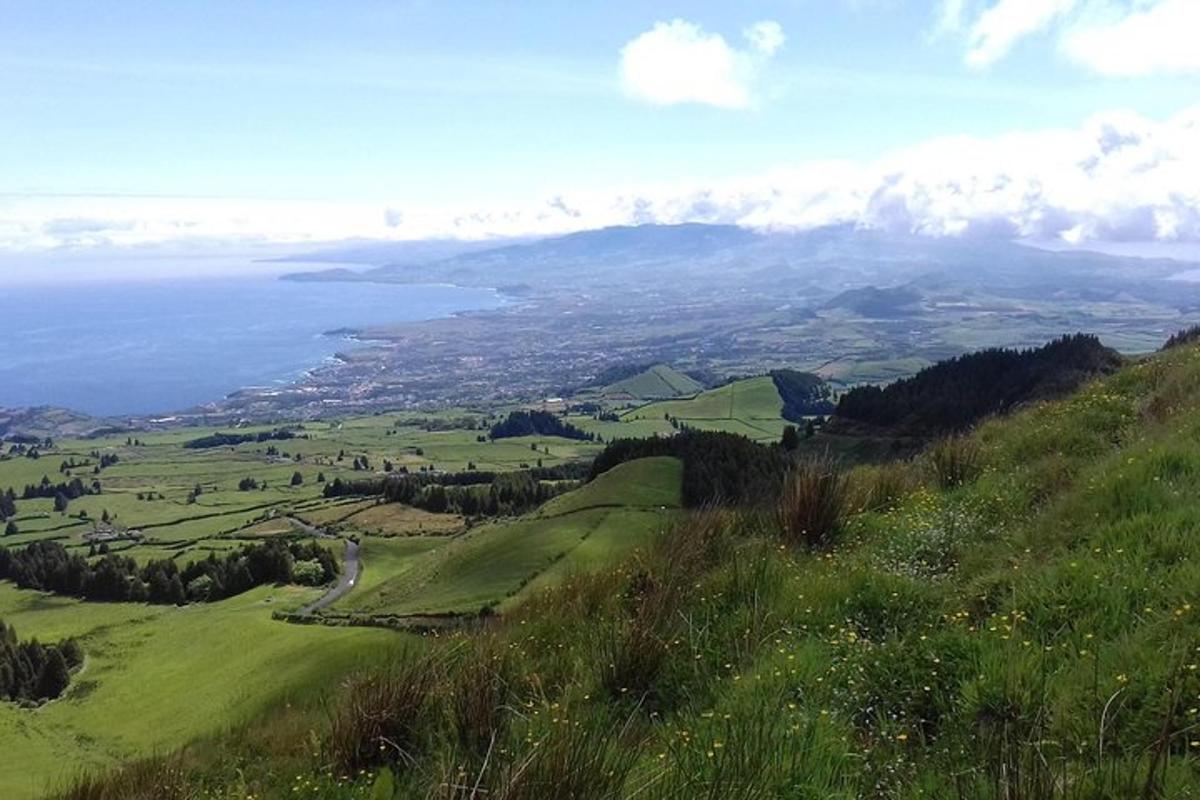 una collina verde con vista sull'oceano