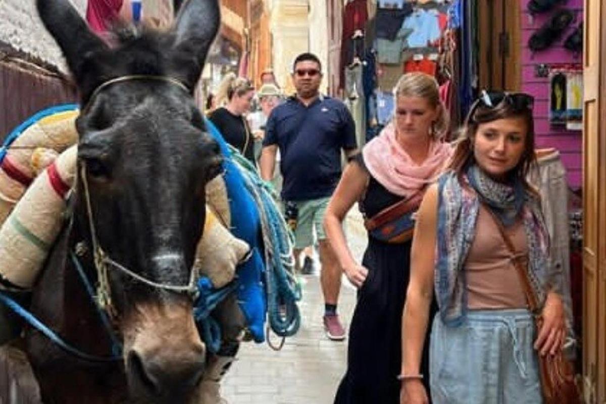 un gruppo di persone che camminano lungo una strada con un asino