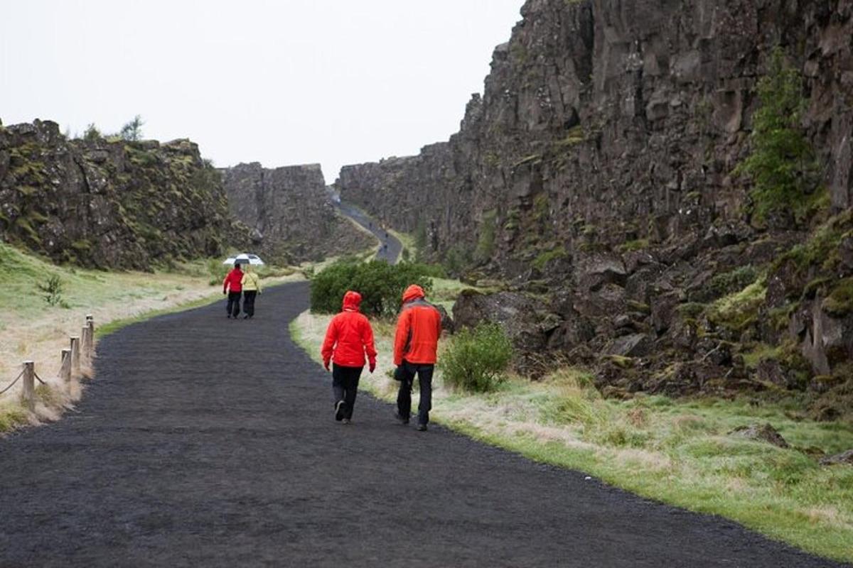 un gruppo di persone che camminano lungo una strada