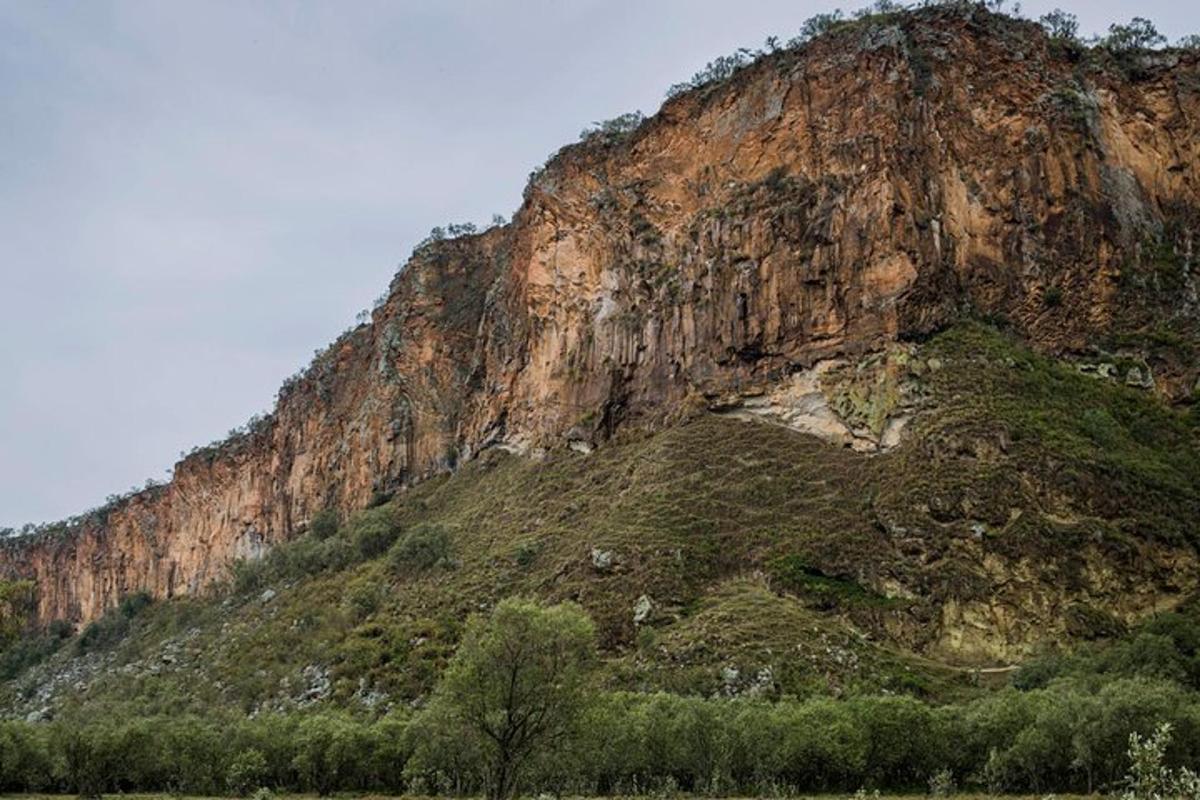 a rocky mountain with trees in front of it