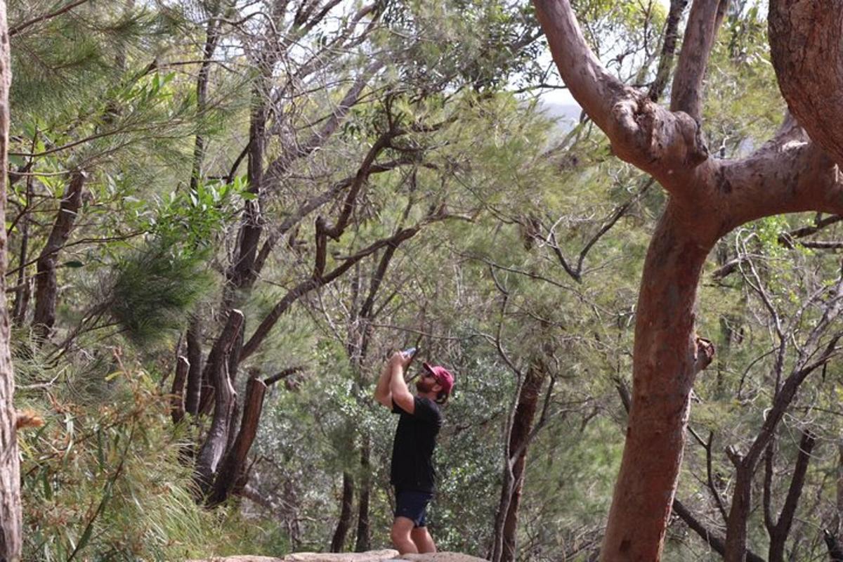seseorang yang berdiri di atas batu di dalam hutan
