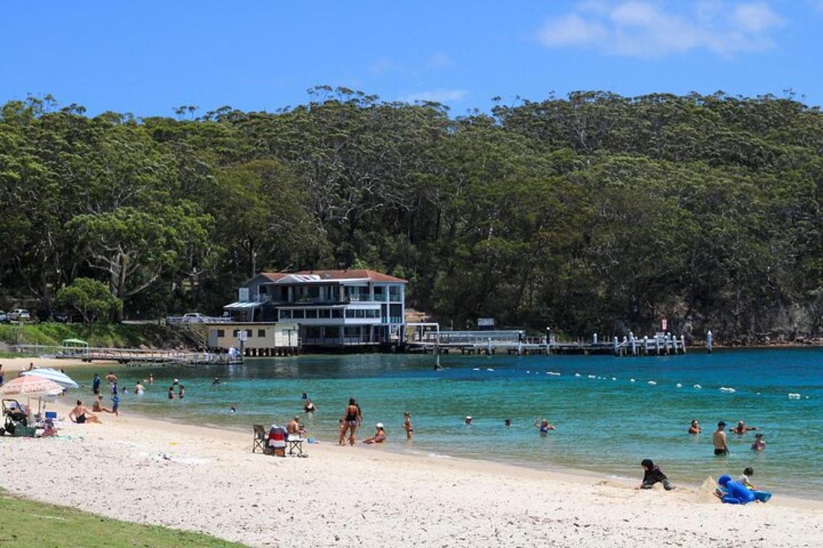 um grupo de pessoas na água em uma praia