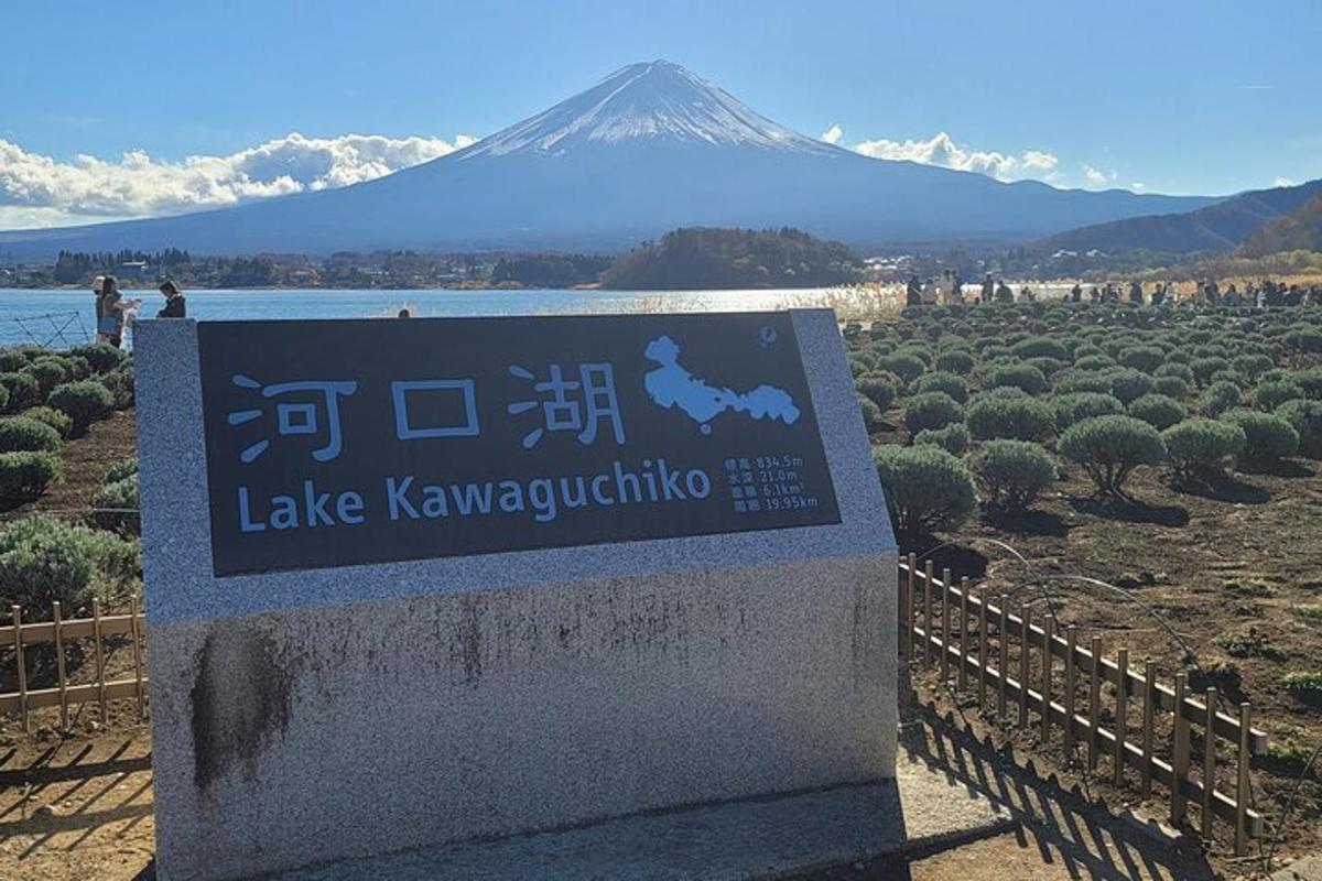 un cartello con una montagna sullo sfondo