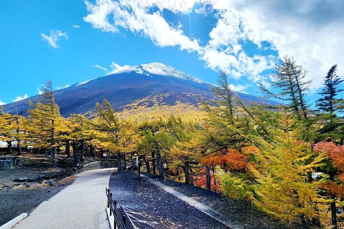 una montagna in lontananza con una strada e degli alberi