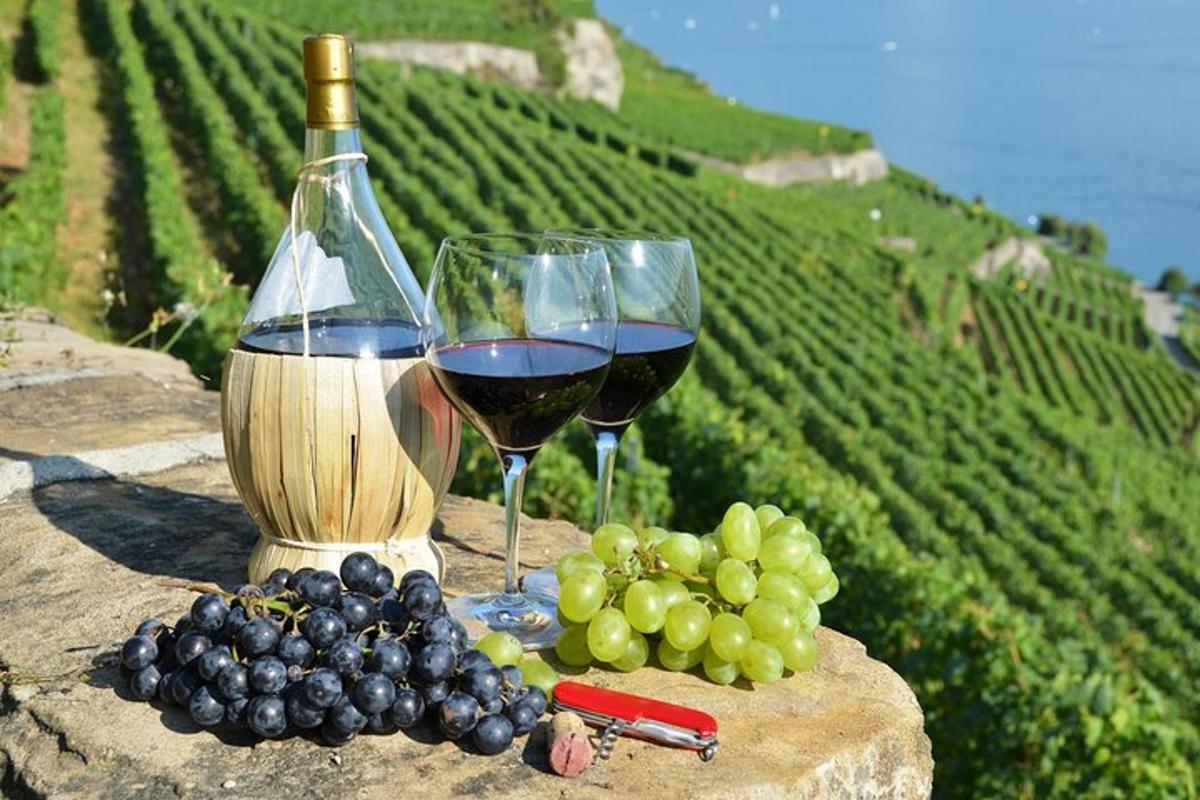 due bicchieri di vino e uva seduti su una roccia