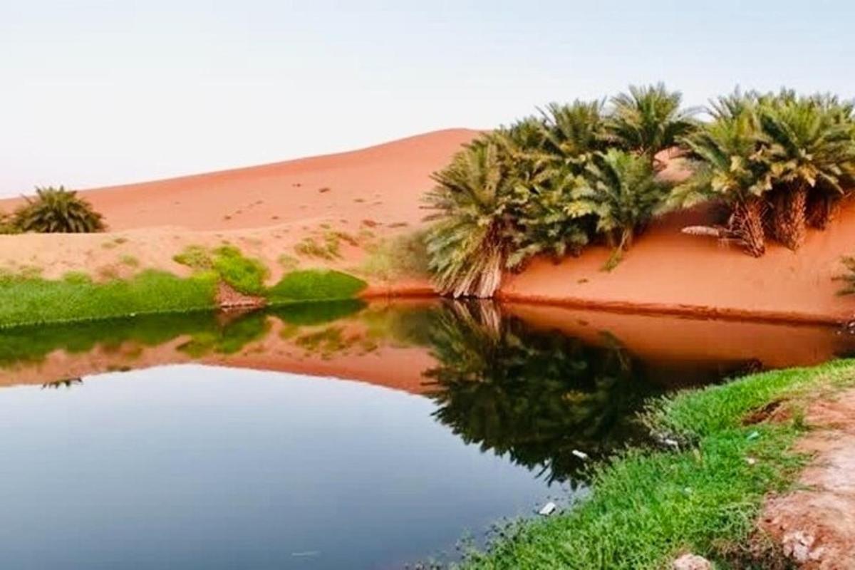 a body of water in the desert with palm trees