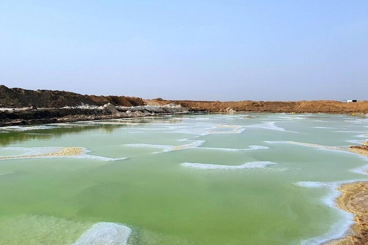 a large body of water with green water