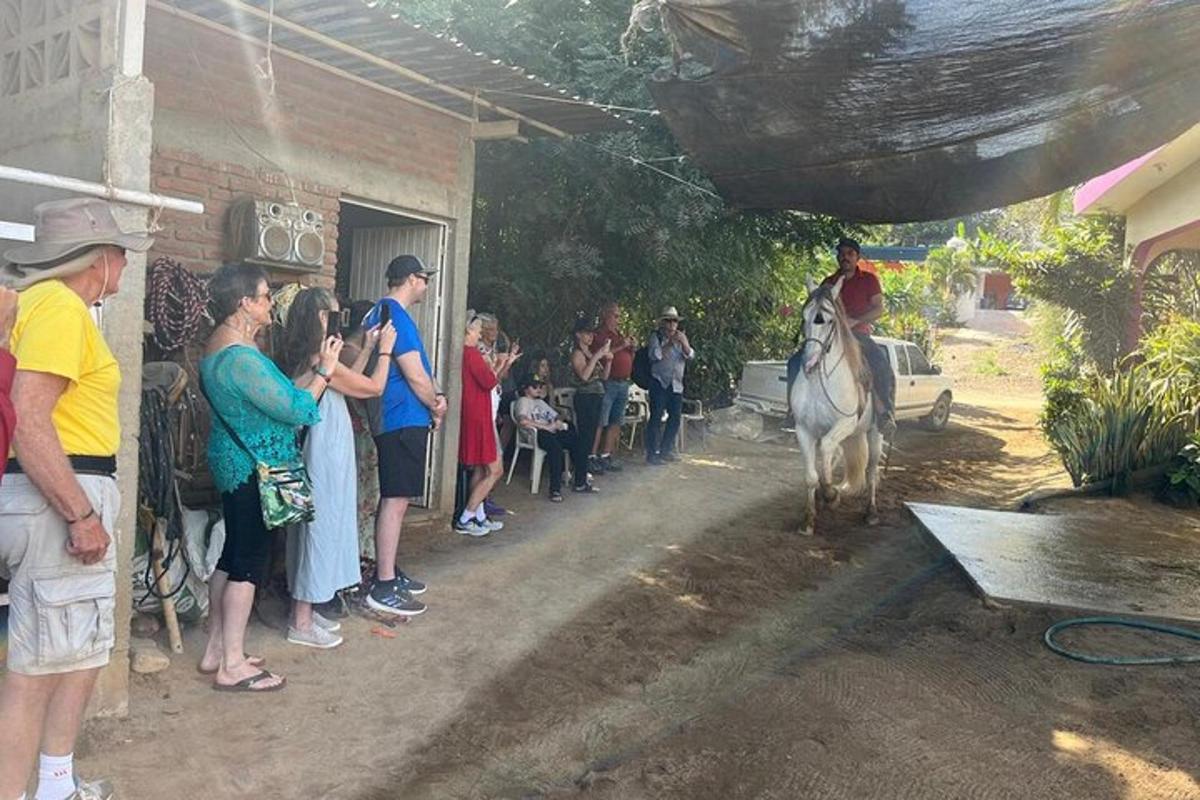 skupina lidí pozorujících muže na koni