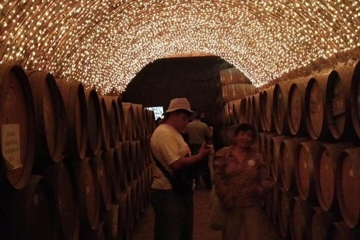 isang lalaki at isang babae na nakatayo sa isang wine cellar