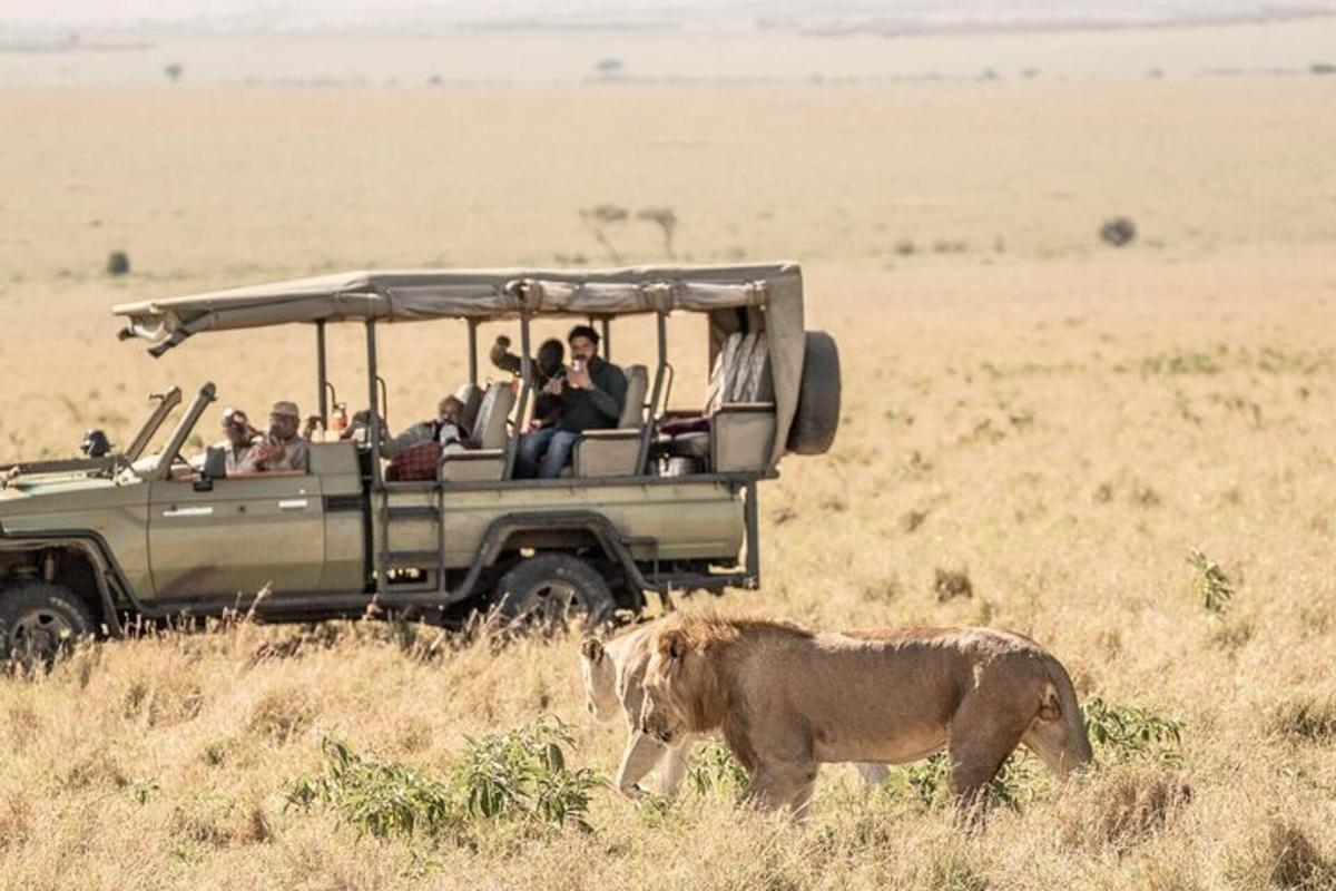 grupp inimesi safariautos koos lõviga