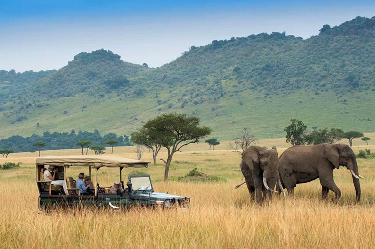 un ramat d'elefants caminant al costat d'un safari