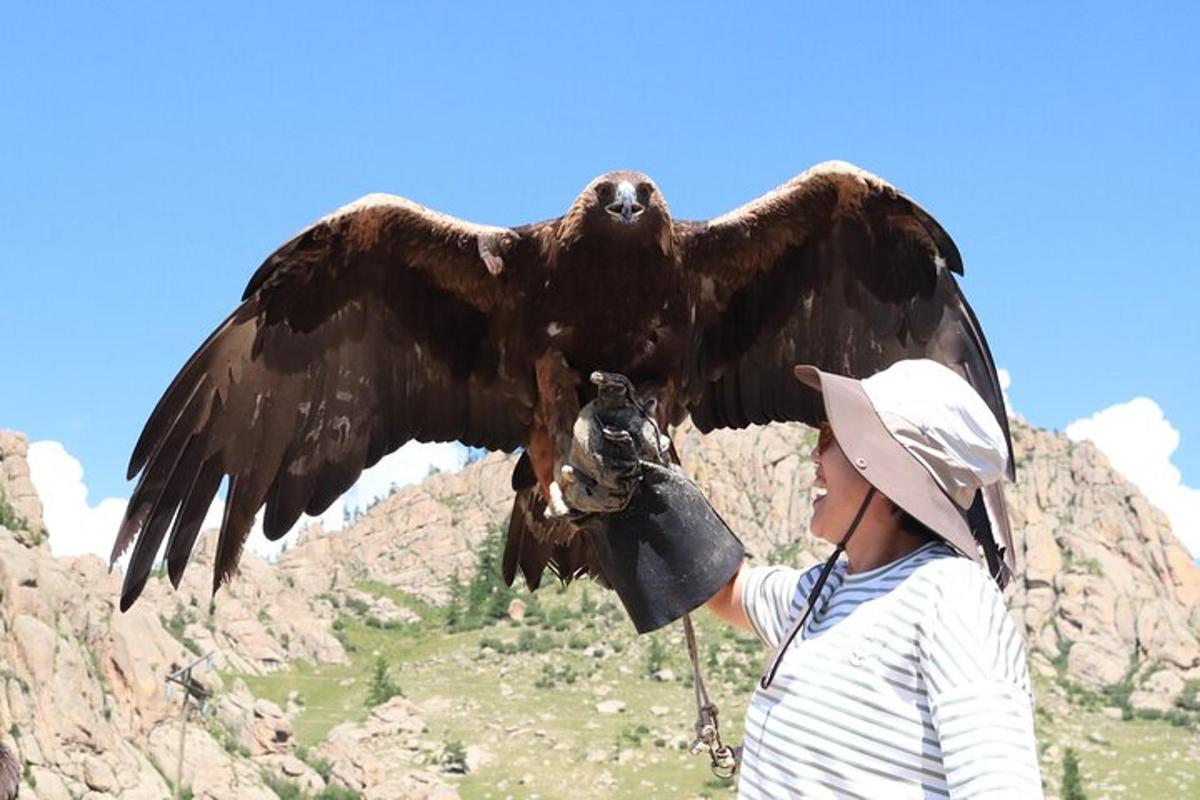 a person holding an eagle with its wings out