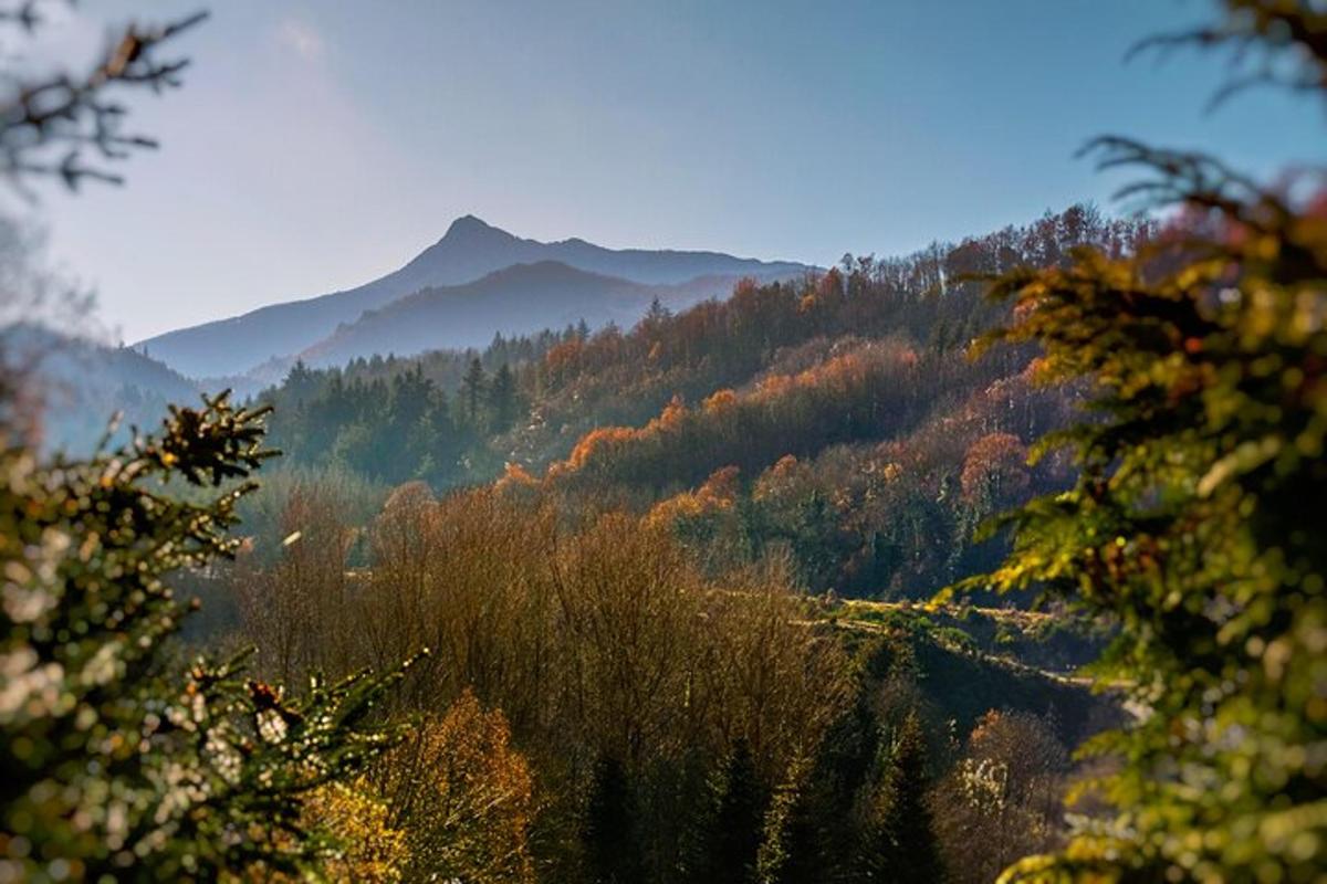 una vista di una valle con alberi e montagne