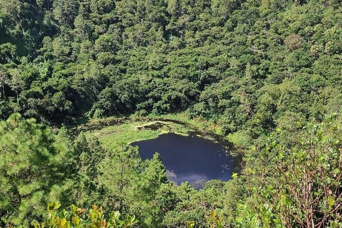 una vista aerea di un cratere nel mezzo di una foresta