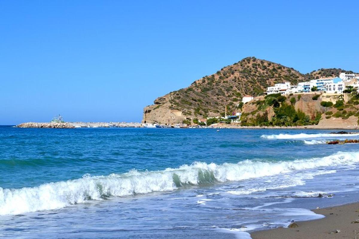 Una playa con el océano y casas en una colina.