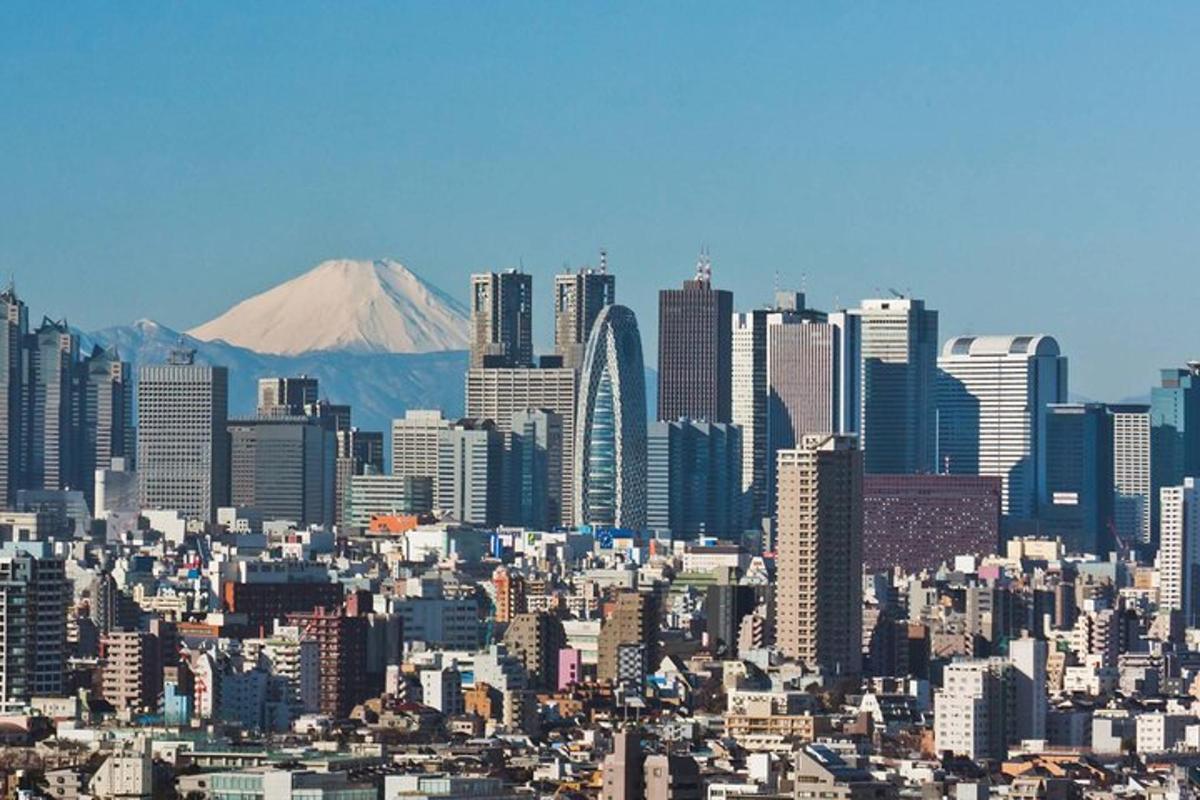 una vista di una città con una montagna sullo sfondo