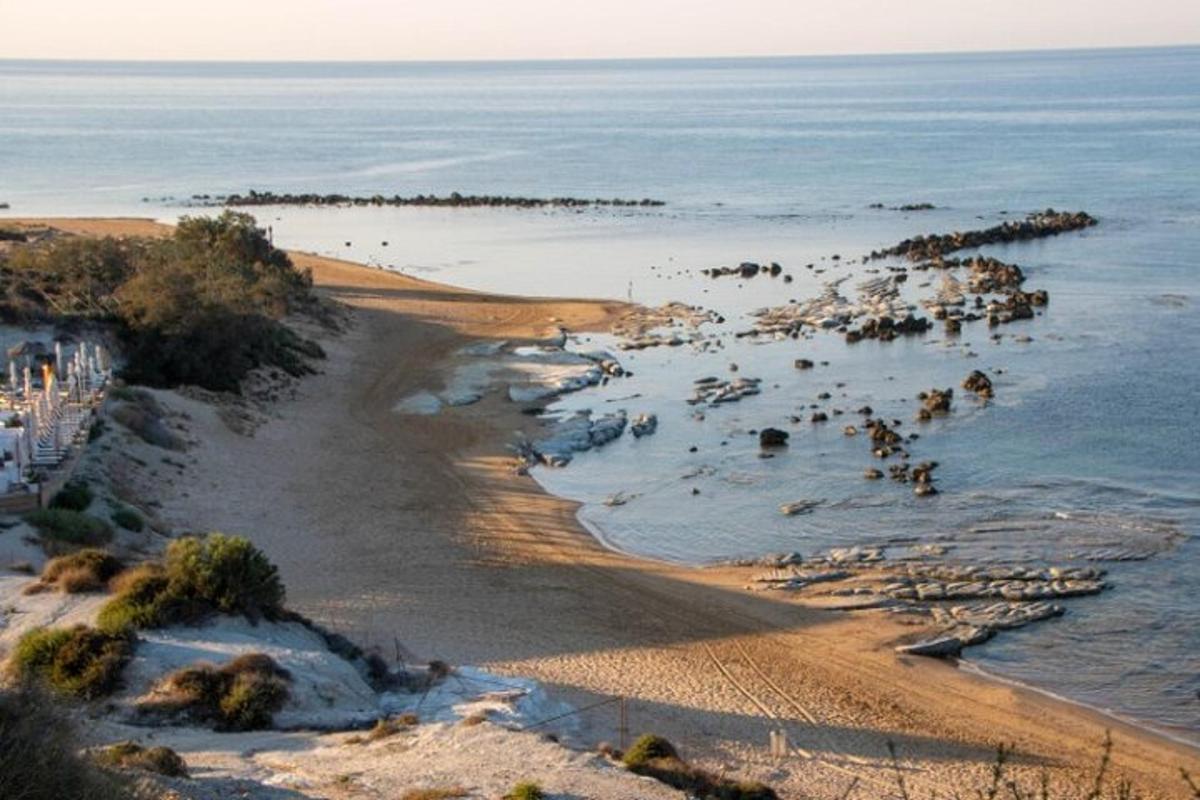 una playa con un montón de pájaros en el agua