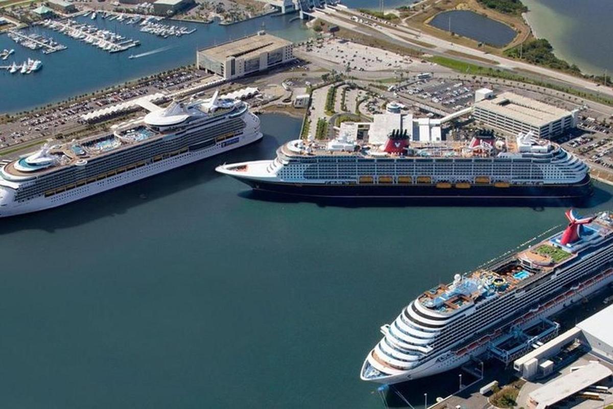 two cruise ships docked at a marina