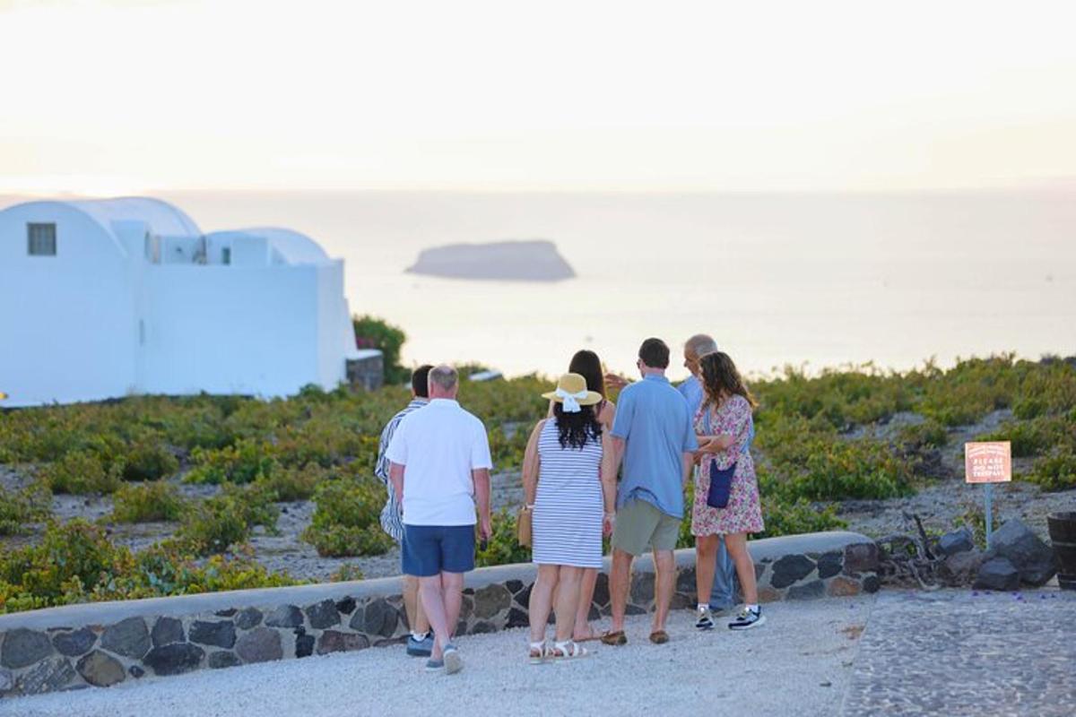 Un grupo de personas de pie en una cornisa mirando el océano.