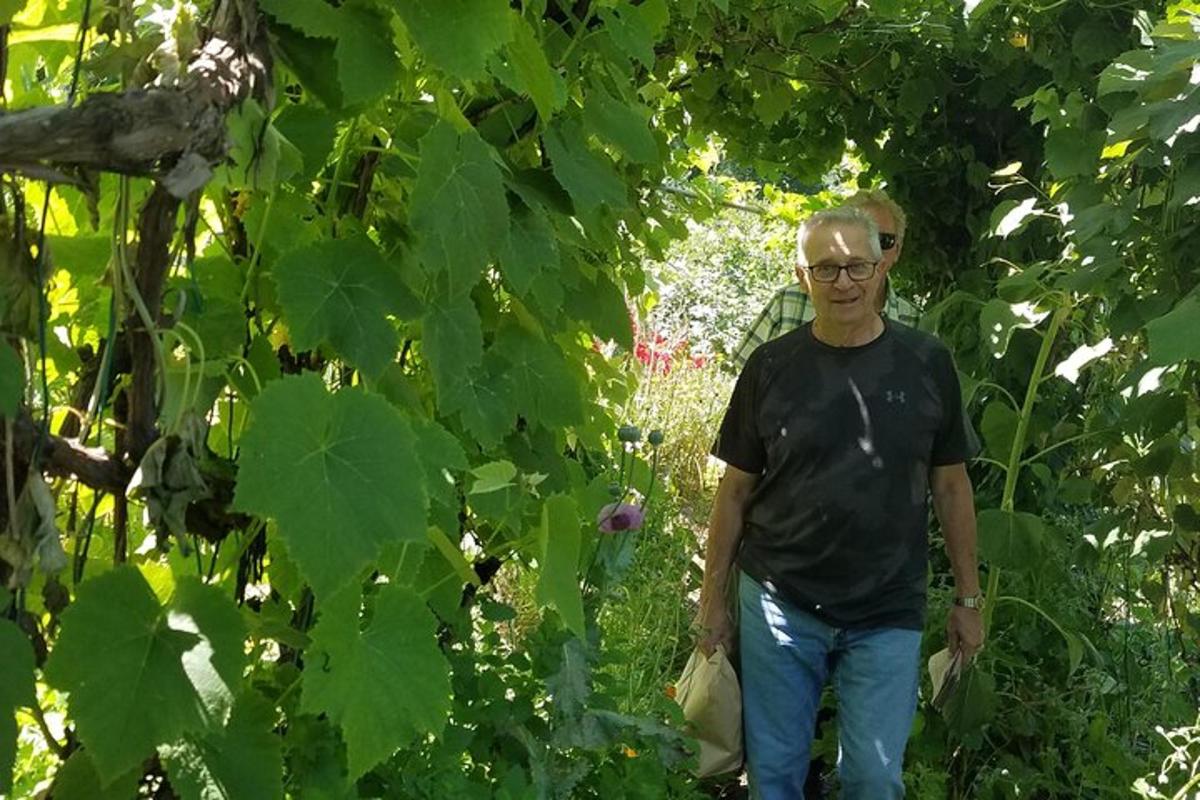 un uomo che cammina lungo un sentiero in un giardino