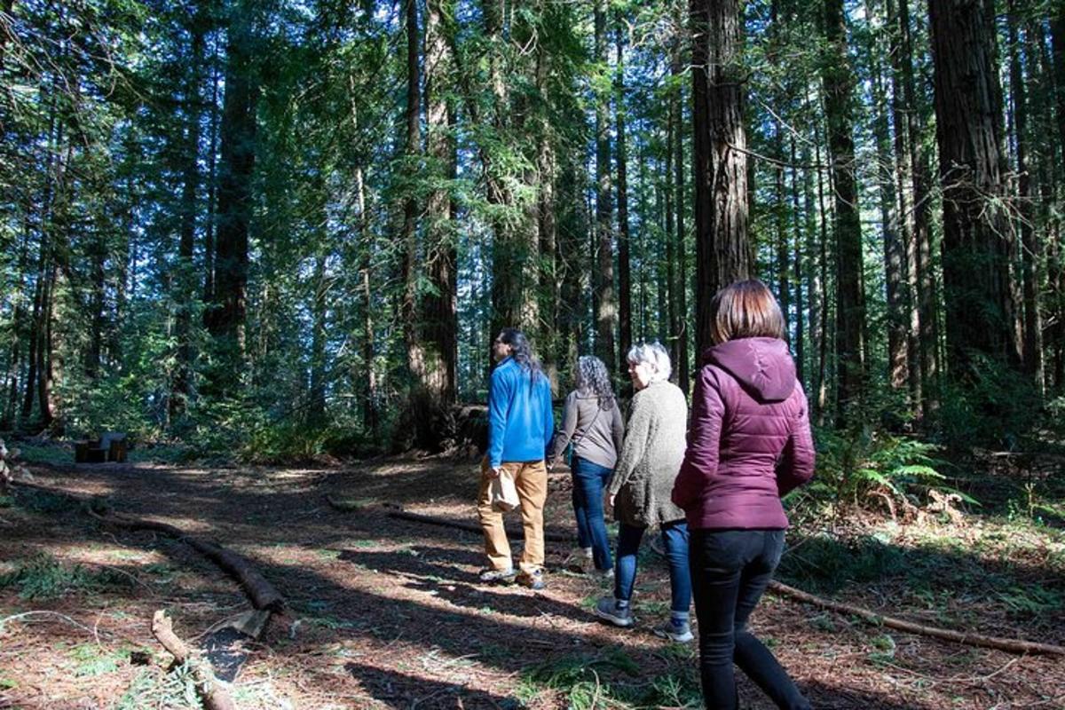 un gruppo di persone che camminano nel bosco