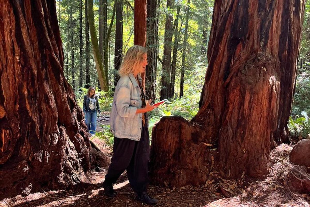 uma mulher caminhando na floresta ao lado de uma árvore