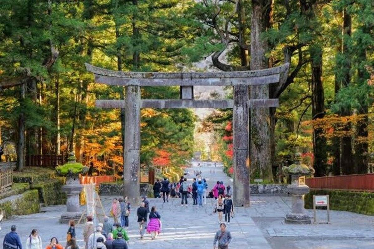 brána torii v parku s ľuďmi, ktorí sa prechádzajú