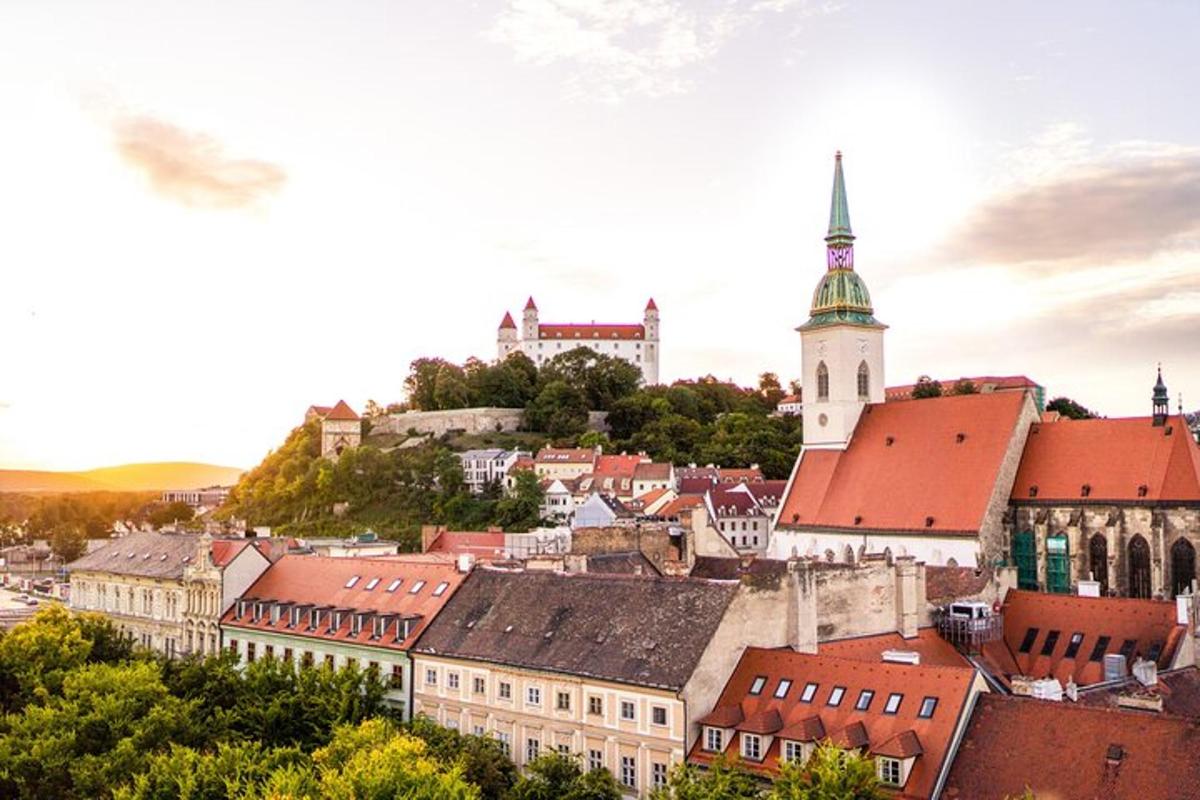 pogled na mesto z gradom na hribu