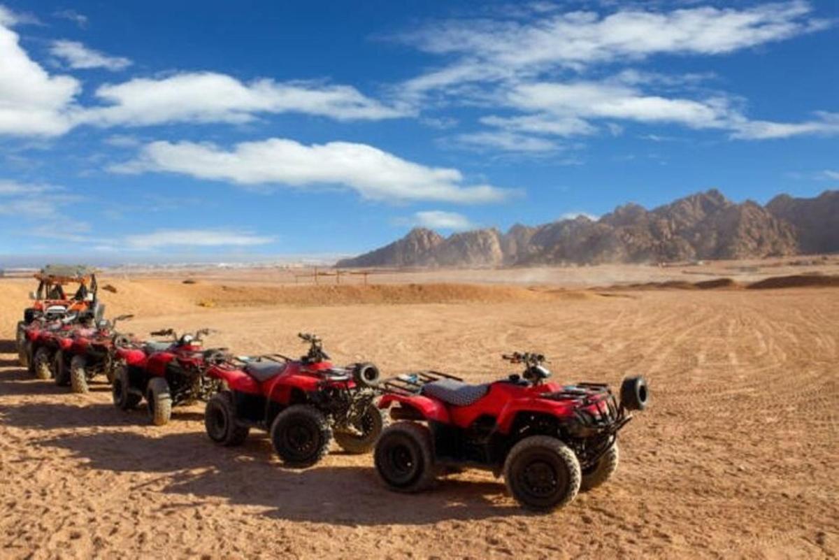 çölde park edilmiş bir sıra ATV