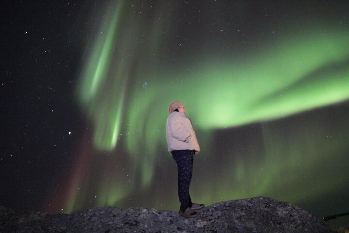 eine Person, die unter dem Nordlicht auf einem Felsen steht