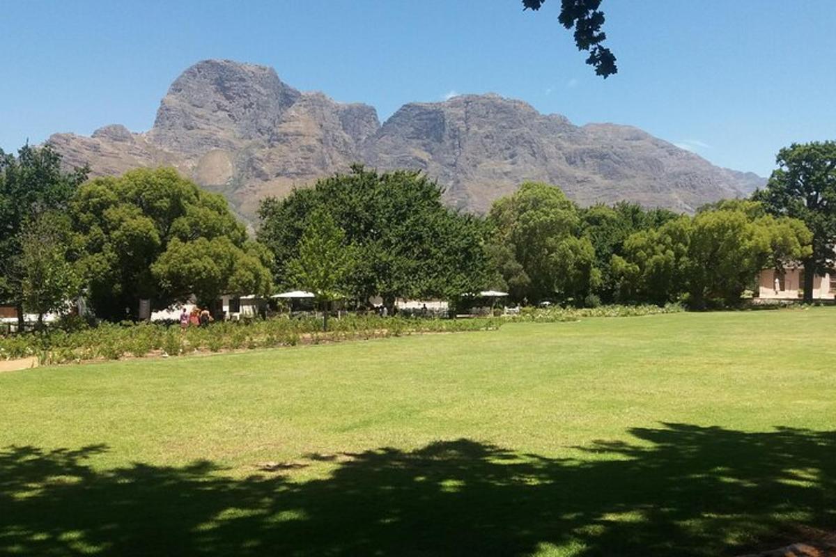a field with trees and mountains in the background