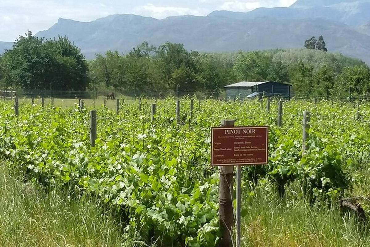 a sign in the middle of a field of flowers