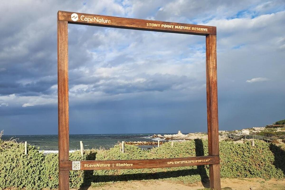un cartello di legno sulla spiaggia vicino all'oceano