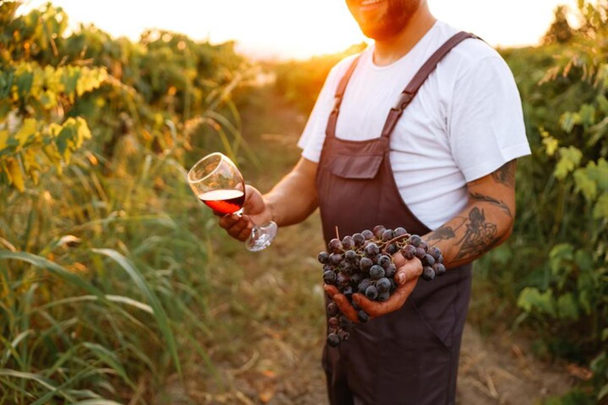 a man holding a glass of wine and a bunch of grapes