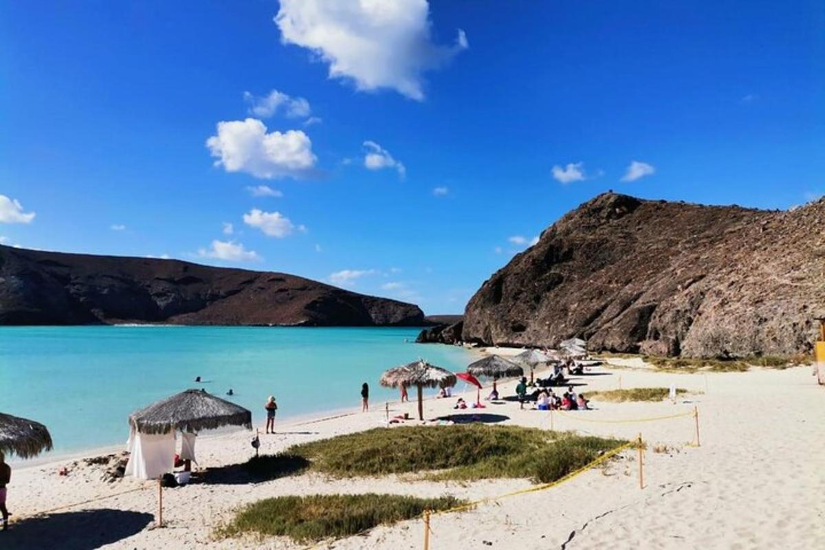 plaža s senčniki in ljudmi na pesku