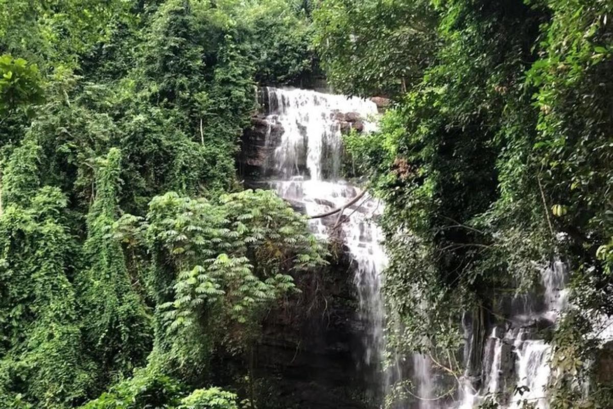 een waterval midden in een bos
