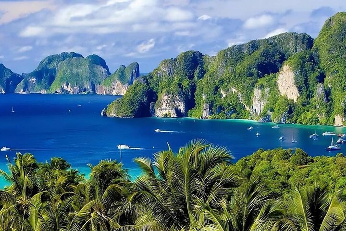 pemandangan teluk dengan pokok palma dan gunung